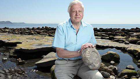 Sir David Attenborough named people’s advocate for the planet