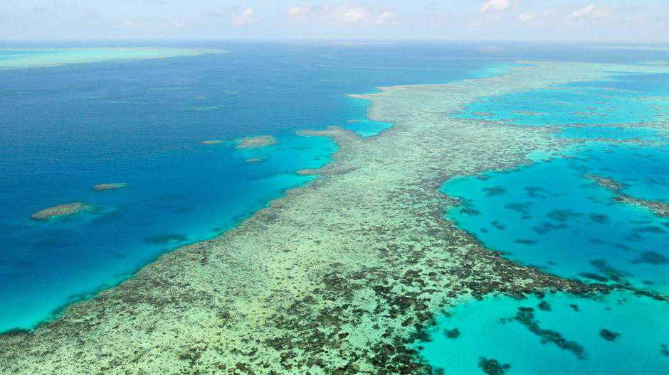 Unesco changes Great Barrier Reef status sparking row with Australian government