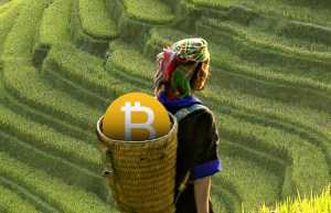 Vietnam considers trial of state-backed cryptocurrency