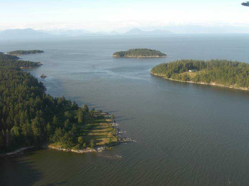 Lululemon founder buys ecologically unique Canadian island for 'future generations'