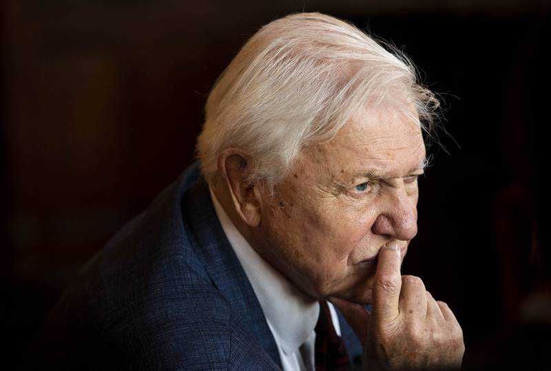 Sir David Attenborough urges greater public participation in climate change fight