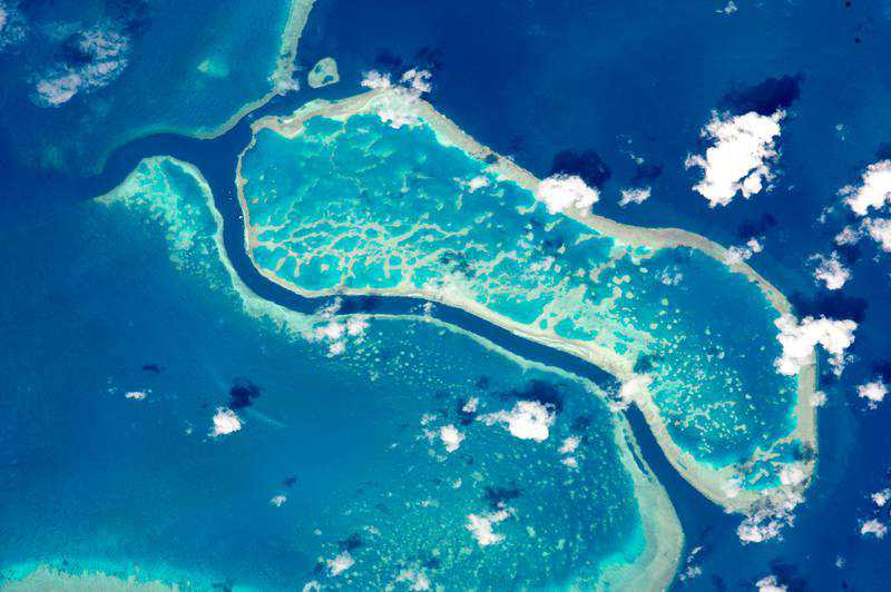 Scientists create first detailed map depicting all the world's coral reefs