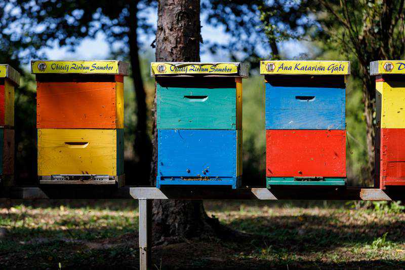 Croatia farm offers 'bee hotel' for busy keepers