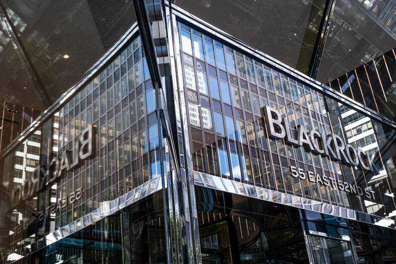 BlackRock expects sustainability to influence how future investment portfolios shape up
