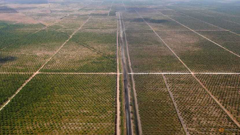 Indonesia 2021 palm oil exports, output to fall for second year - association