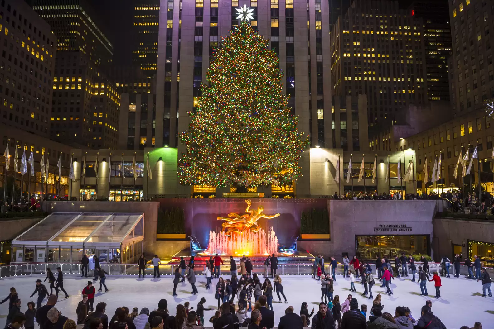 Everything You Need to Know About Rockefeller Center’s Xmas Tree Lighting Ceremony