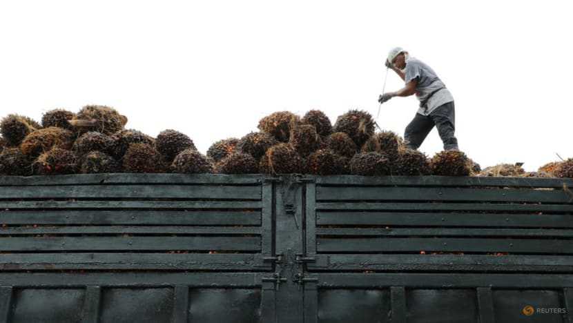 Top buyer India to favour Malaysian palm oil as Indonesian prices rise -assoc