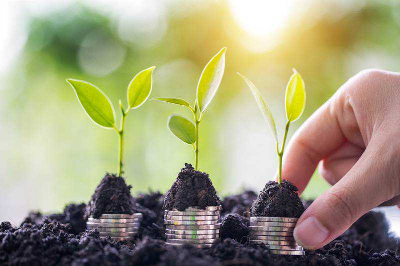 Why investors should put sustainability over short-term profits