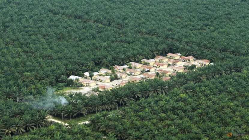 Indonesia expects 2.6per cent increase in crude palm oil production -govt agency