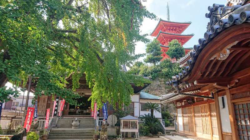 Online pilgrimages along Japan’s famous Shikoku Henro route begin