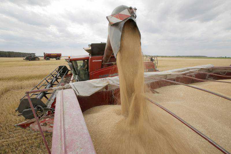 Africa faces grain shortage and sharp rise in food prices if Ukraine exports stop