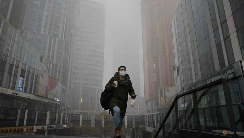China must raise air quality standards as smog persists: Task force