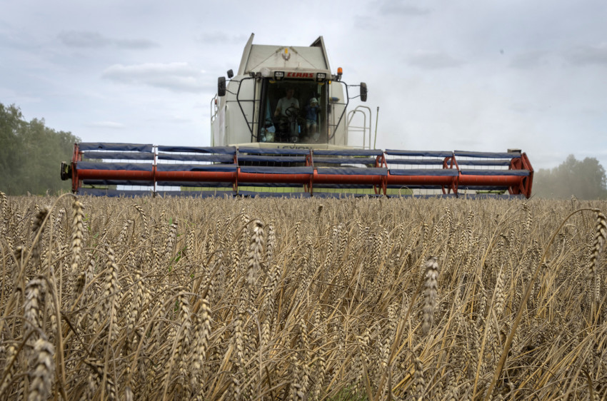 Japan to keep imported wheat price unchanged despite inflation