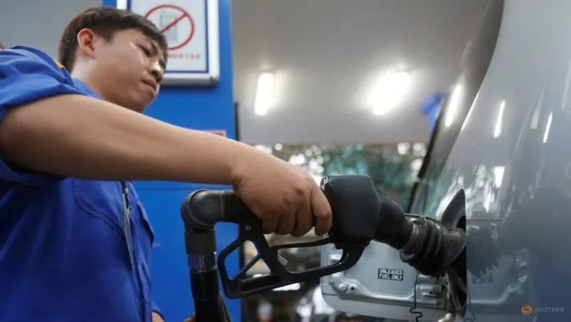 Vietnam to continue facing difficulties securing fuel supplies - minister