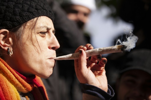Smoking cannabis may be more harmful to lungs than tobacco: study