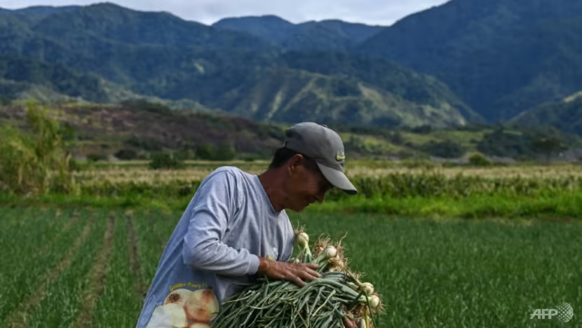 Eye-watering onion prices make Philippine staple a luxury