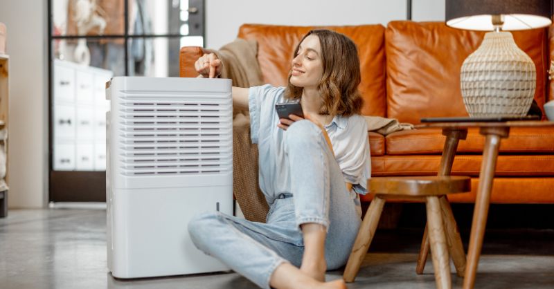 Exploring the Benefits of Home Air Purifiers: A Comprehensive Guide