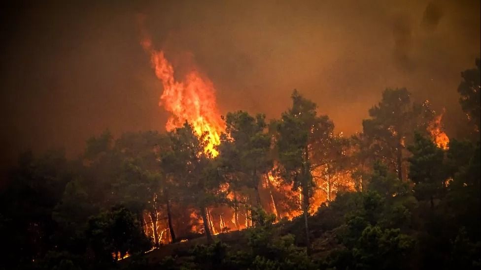 Greece fires: Thousands flee homes and hotels on Rhodes as fires spread