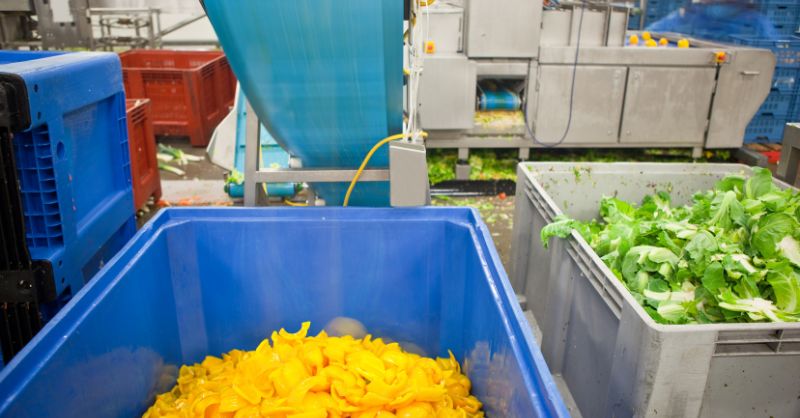 Growing Demand for Food Processing Machinery Parts Drives Industry Innovation