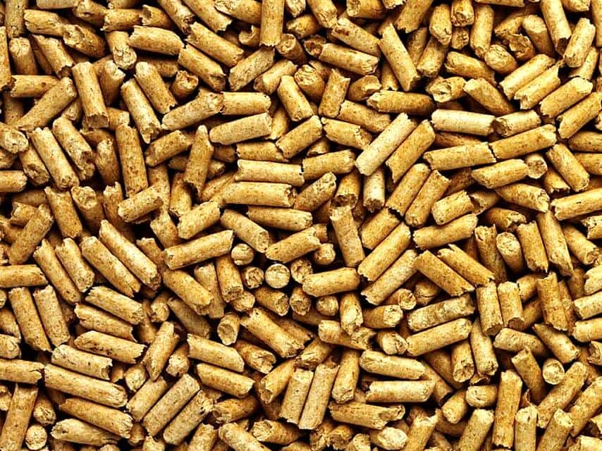 Pellets, chips to remain export growth drivers for wood industry in 2023