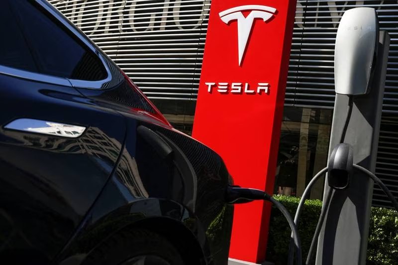 Tesla's vocal shareholder to pursue board seat to rein in Elon Musk