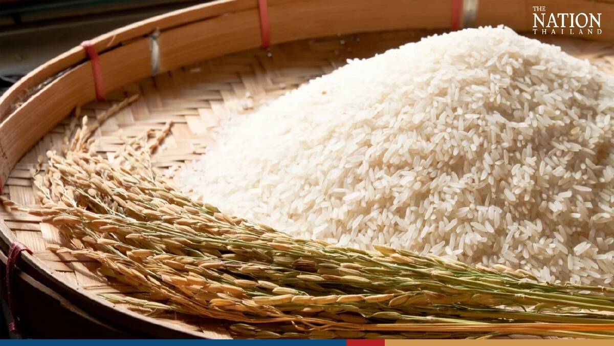 Thailand to Sue Chinese Factories Producing Fake Jasmine Rice