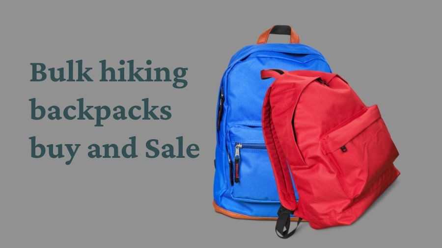 Rising Global Demand for Bulk Hiking Backpacks Suppliers