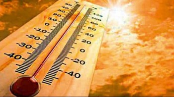 Heat wave kills 19 in Canada