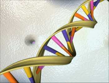 Gene-editing damages DNA more than previously thought: study