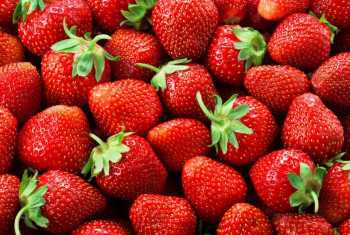 Australia offers reward amid strawberry scare