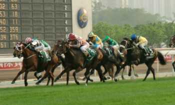 Hong Kong-like horse racing won’t appear in Hainan