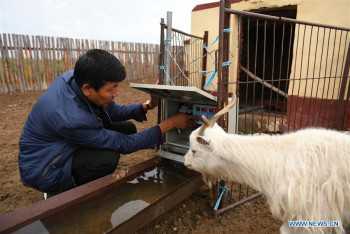 Technological advances bring sweeping changes to China's Inner Mongolia over past 40 years