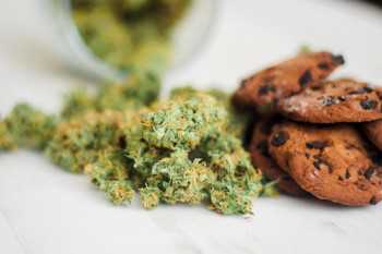 Munchies: Does cannabis really increase desire for junk food?