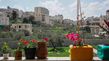 'The good, the bad and the ugly': Inside Palestine's best budget hostel