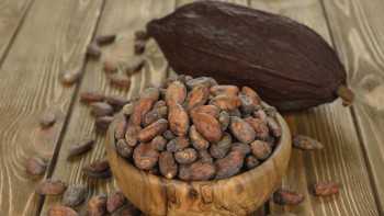 The physical and spiritual benefits of cacao