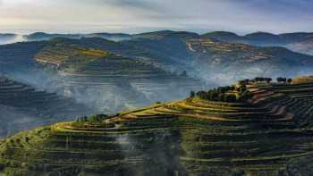 The terraced fields on mountains in NW China