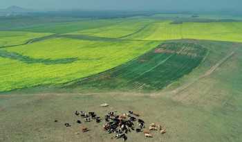 Scenery of farm fields in Saibei, China's Hebei