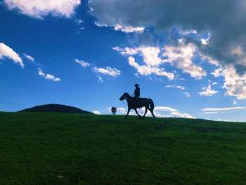 Seven decades of Inner Mongolia: China’s development through our eyes