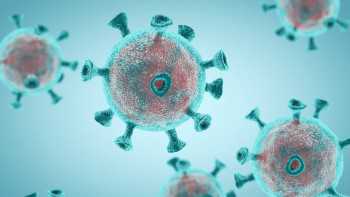 Duo of antiviral drugs strongly inhibits SARS-CoV-2 found in the lab