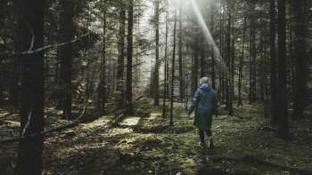 Hanging out in green areas may reduce workplace stress