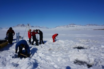 Climate change may boost Arctic 'virus spillover' risk