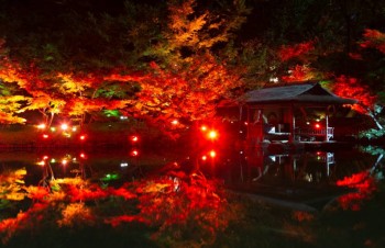Tokyo’s Happo-en Garden to hold fall festival, including 'koyo' illuminations, pop-up bars