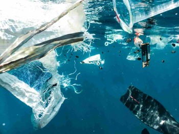Scientists say chemicals could undercut global plastics treaty