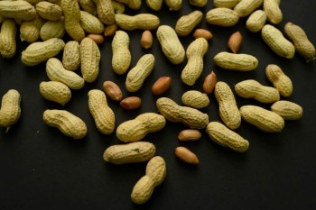 A skin patch to treat peanut allergies? Study in toddlers shows promise