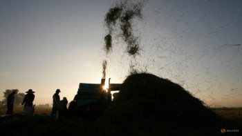 Malaysia announces measures to try to tame rice prices