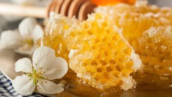 Natural Honey Products: A Sweet and Healthy Choice for Wellness Enthusiasts