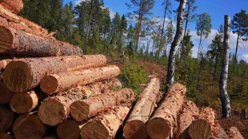 Unlocking Efficiency in the Timber Industry: Logging Equipment Parts Play a Vital Role