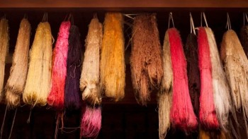 Unraveling the Silk Revolution - Insights into the Pure Silk Yarn Market