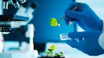 Biotechnology Suppliers - A Flourishing Market and Emerging Trends