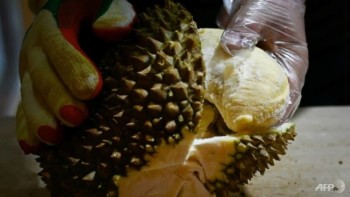 China’s durian market ripens as Thailand loses ground, Vietnam and Philippines get a taste